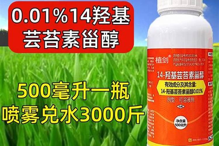 芸苔素142428哪个好