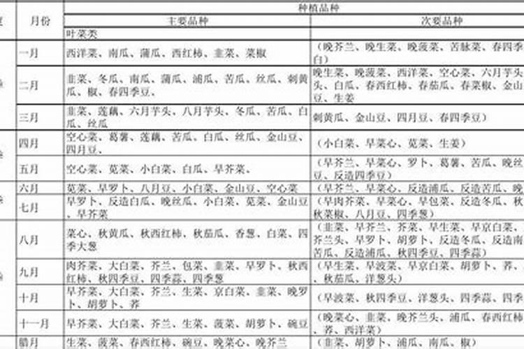 冲施肥怎样冲 和水溶肥有何区别