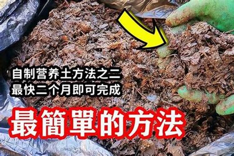 落叶直接埋土里能做肥料吗