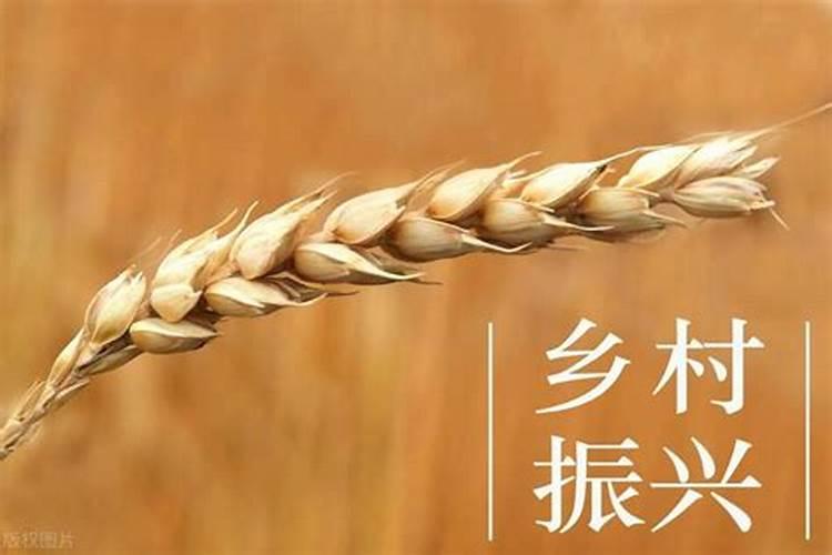 小麦的生长周期肥料氮磷钾的比例是多少