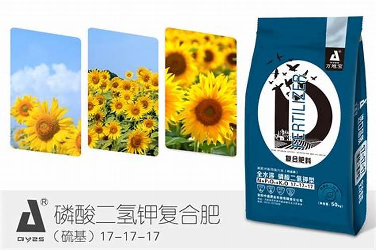 葵花追肥用什么肥好