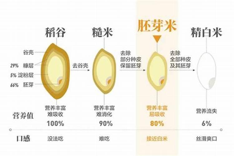 大米可以当肥料吗？
