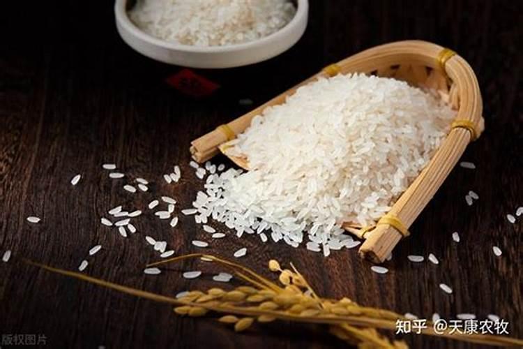 煮熟的米饭能不能做肥料啊？？