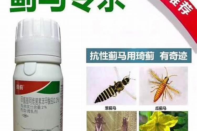 豆角蓟马害虫,用什药好？可否混合叶面肥或抑菌剂时喷施？谢