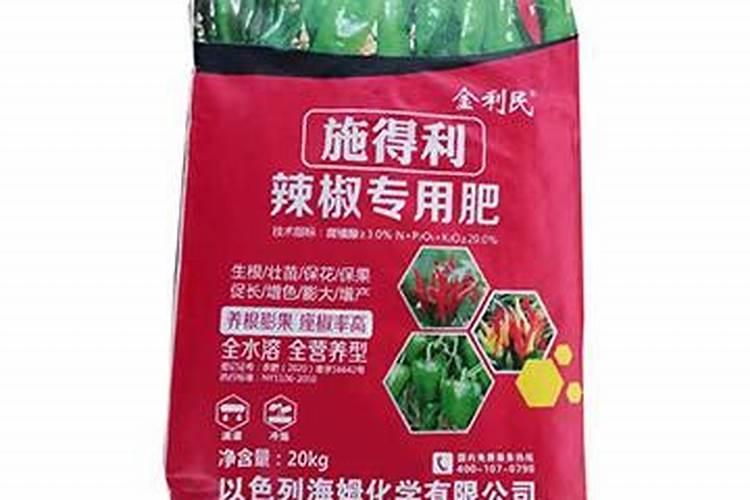 如何种菜怎样种植菜种