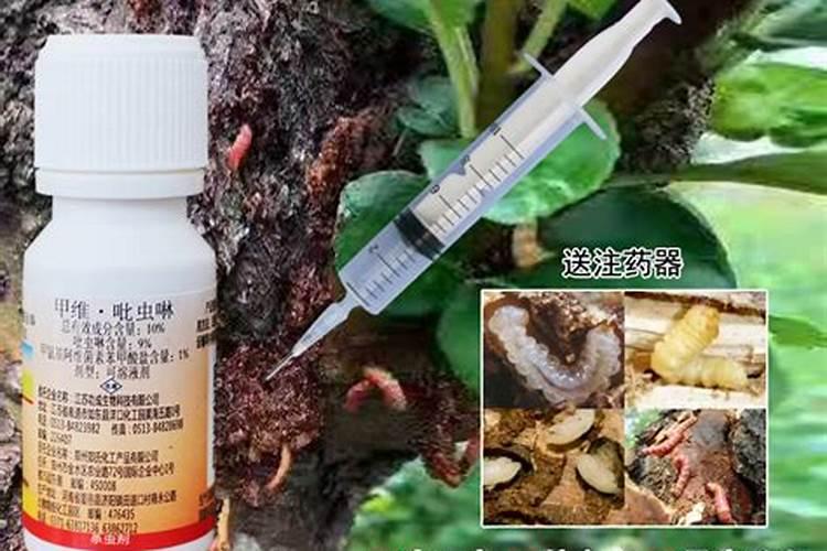 果树挂果期用什么水溶肥效果好？果树保花保果专用肥是什么肥料？