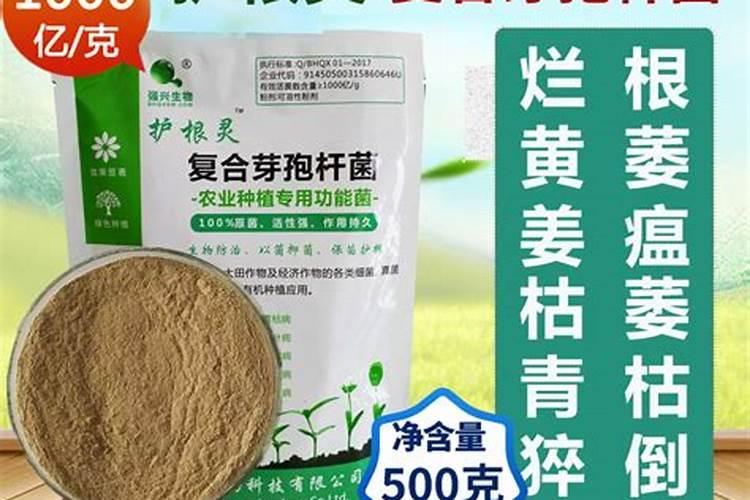 种大葱用什么化肥比较好