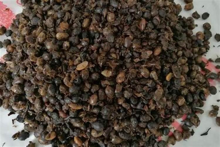 鱼蛋白肥料的功效与作用