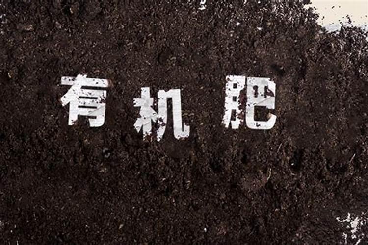 养花的十大最佳肥料