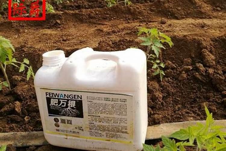 促进植物生根的肥料是钾肥还是磷肥