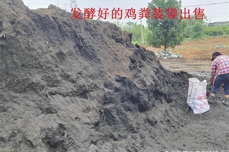 有机肥厂会污染环境吗？