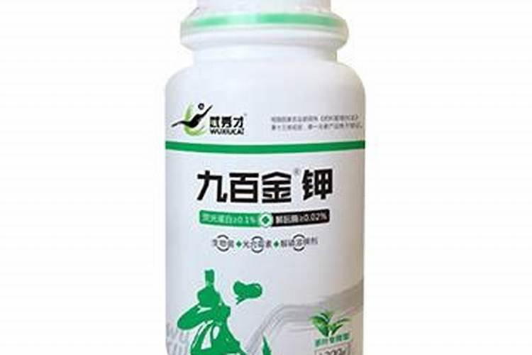 九百金钾茶叶什么时候打？