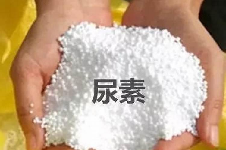棉花最忌三种肥料