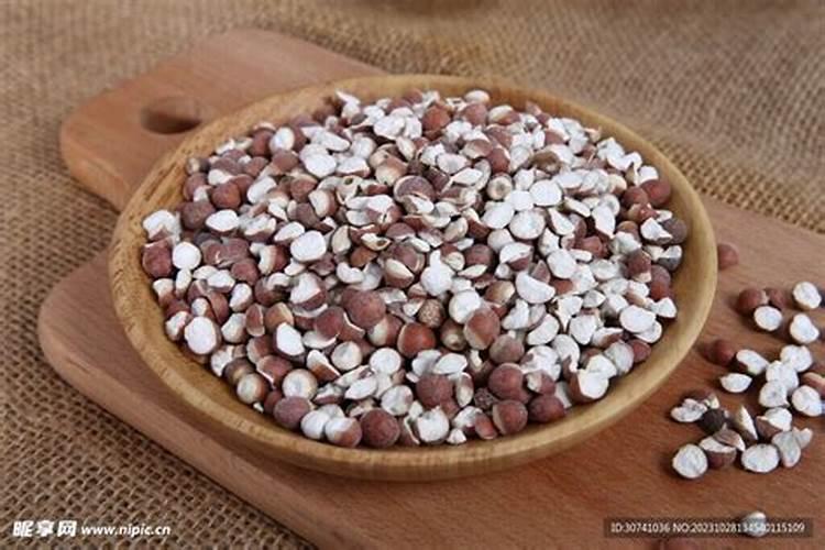 茨实的栽培技术