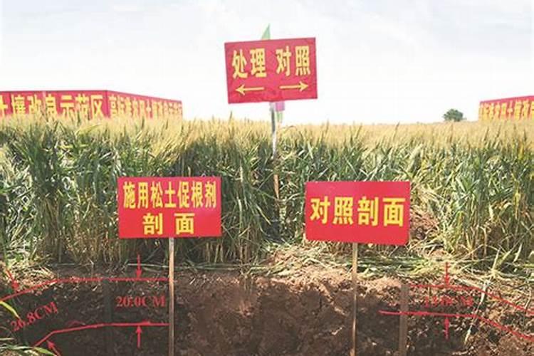 提高耕地质量的主要措施有哪些？