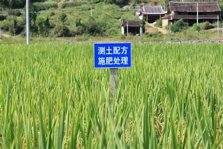 提高耕地质量的主要措施有哪些？