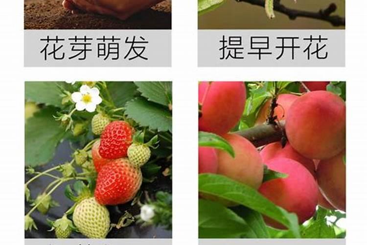 补充微量元素最好是食补,补锌吃什么好？