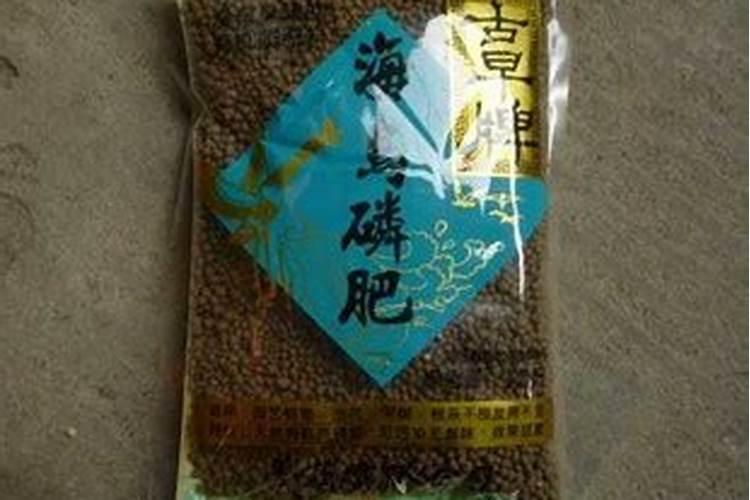 兰花用什么肥料最好