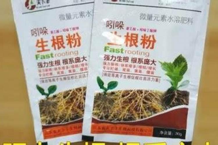 红糖做生根肥配方生根肥怎样正确使用