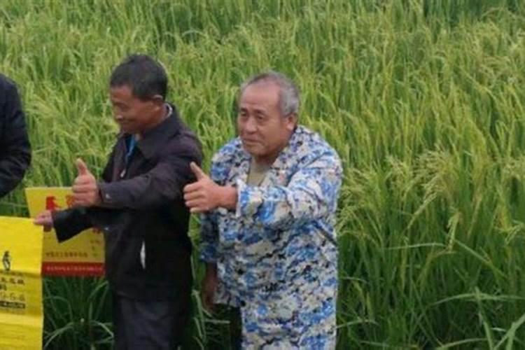 如何给农作物科学施用锌肥