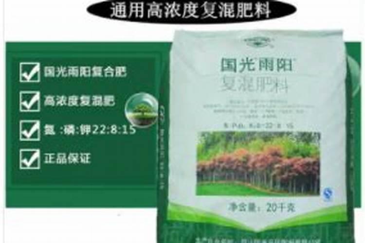 用茄子种茄苗多长时间发芽？