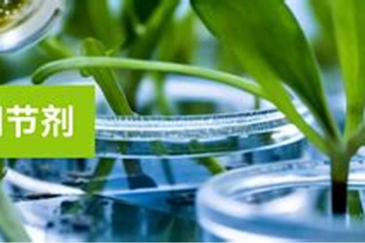 西瓜底肥用什么化肥