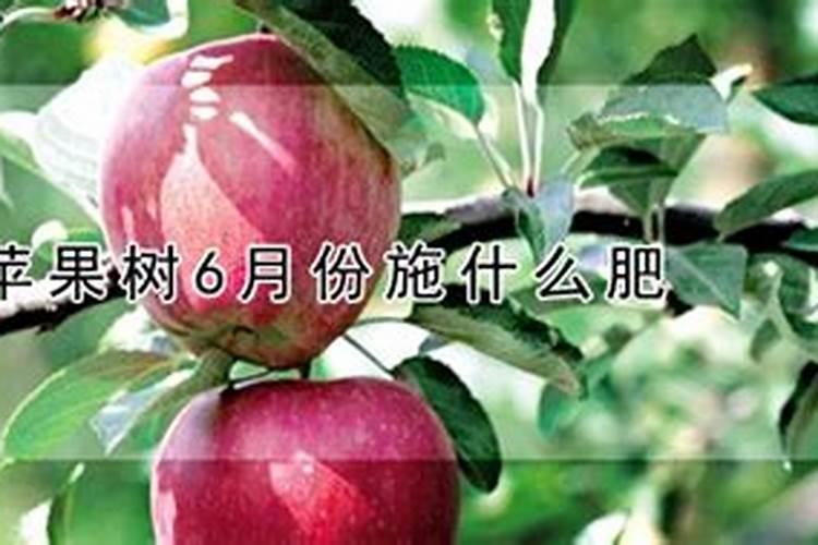 苹果树在形花时需要什么肥料好,果树在5月份一6月份是为明年形花的时间...
