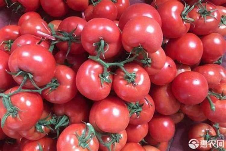 一棵槟榔用多少矿源腐酸钾