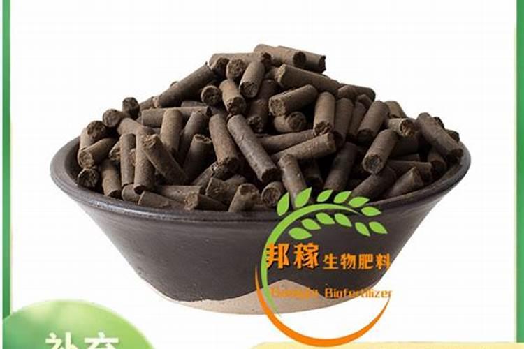 爬藤型的月季应该怎么施肥？