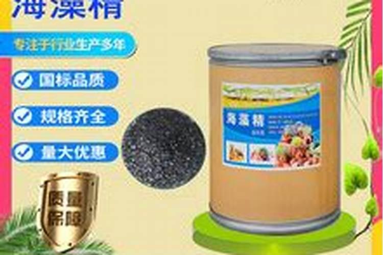 碳酶海藻鱼蛋白什么时候使用最好