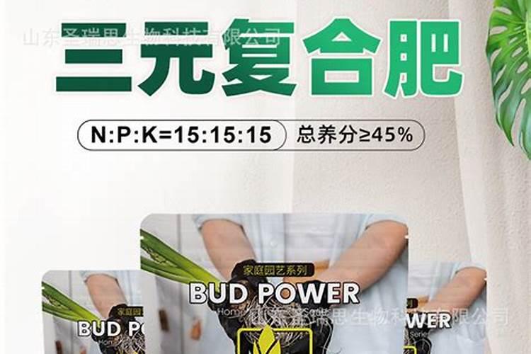 复合肥养花多久施一次