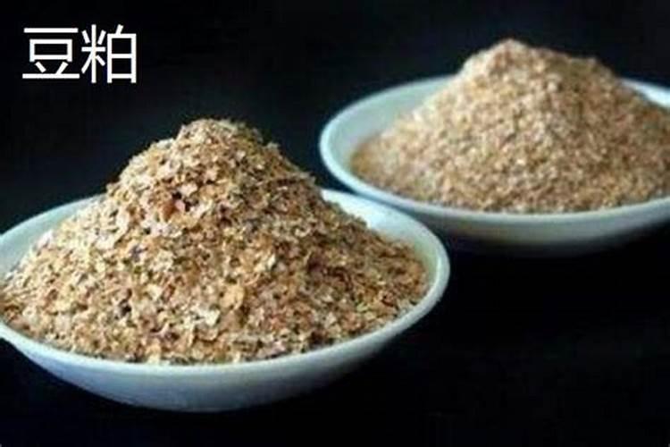 花生粕和豆粕差价多少,使用花生粕性价比高？