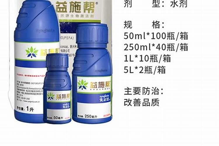 如何养好富贵竹？