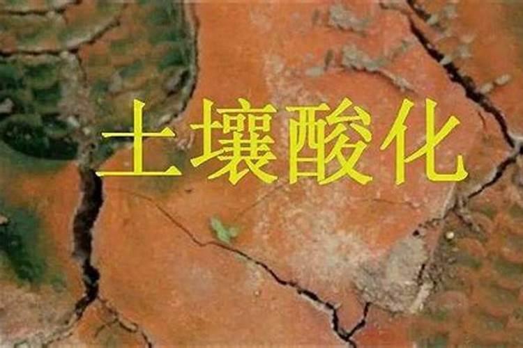 矿源黄腐酸钾的正确使用方法