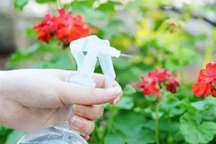 养花的营养液怎么用