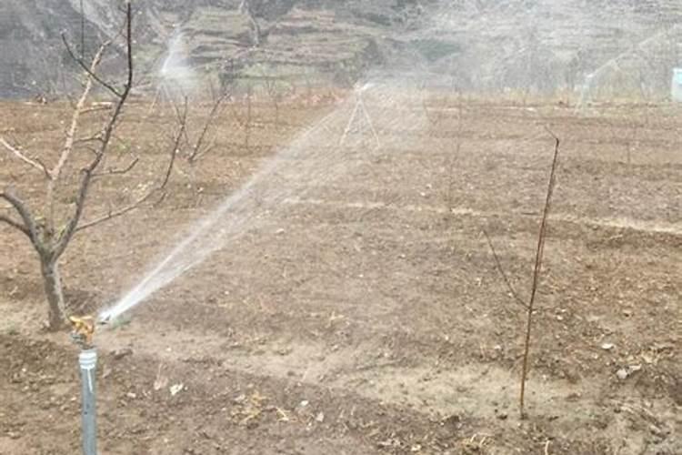 水溶肥的使用方法