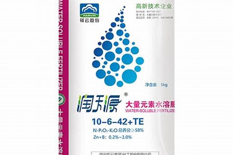 兰花施肥技巧
