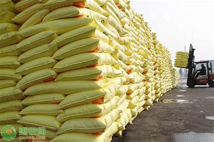 纯正五常稻花香大米价格？