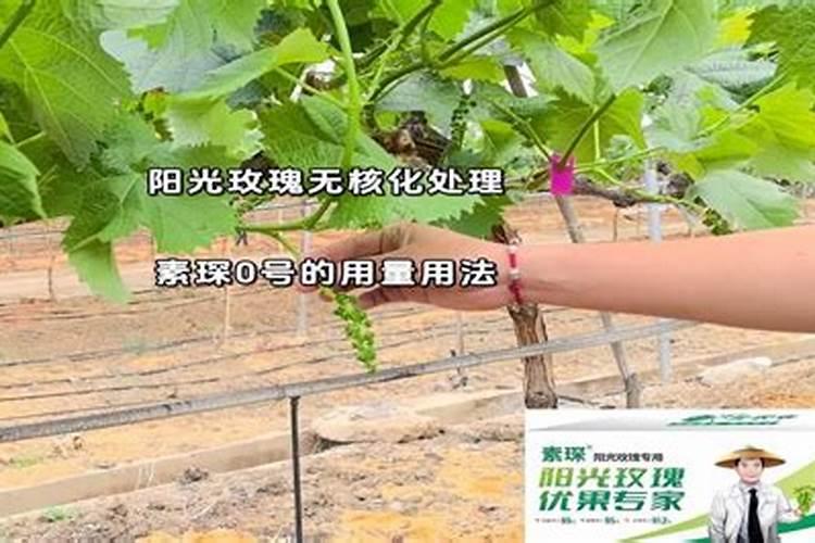 阳光玫瑰萌芽期用肥