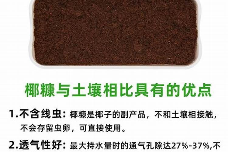 椰砖种菜的详细方法