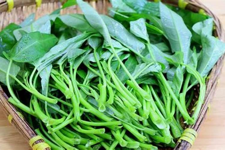空心菜缺钾肥,用什么钾肥？ 空心菜缺钾肥会出现什么问题
