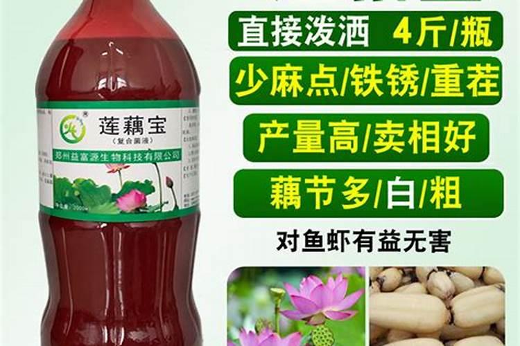 莲藕的用肥方法