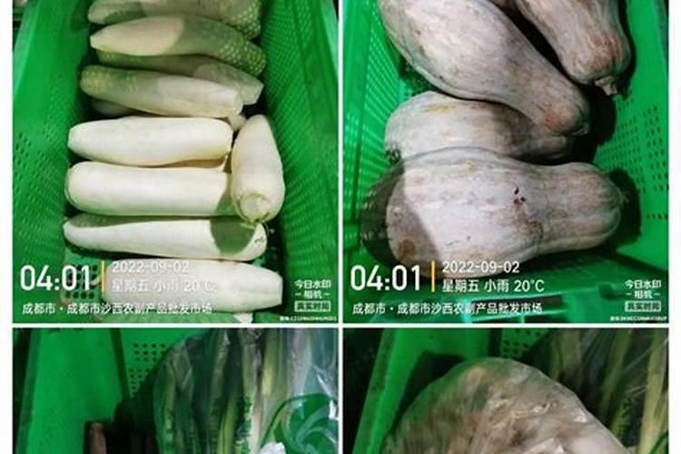 韭菜农药残留怎么去除
