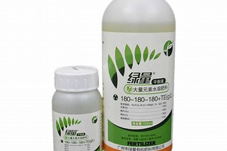 想要促进玉树生长,应该如何进行施肥？