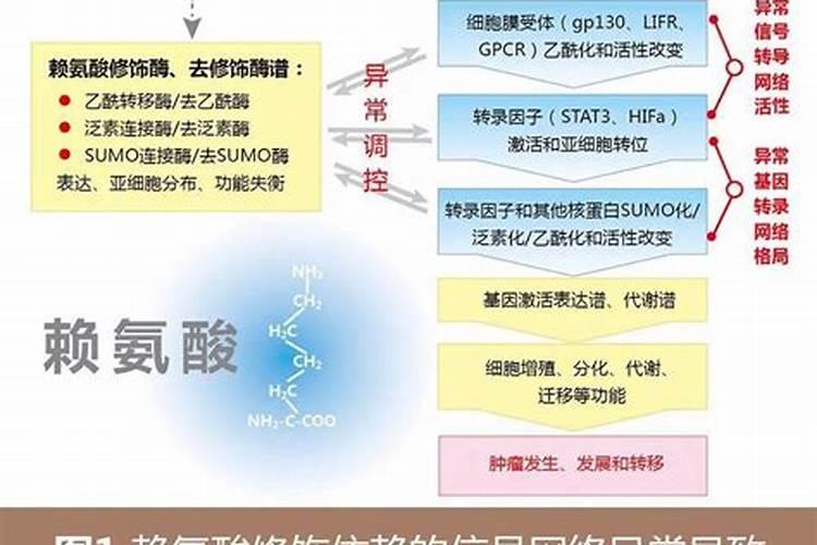 草莓在开花的时候施什么肥料