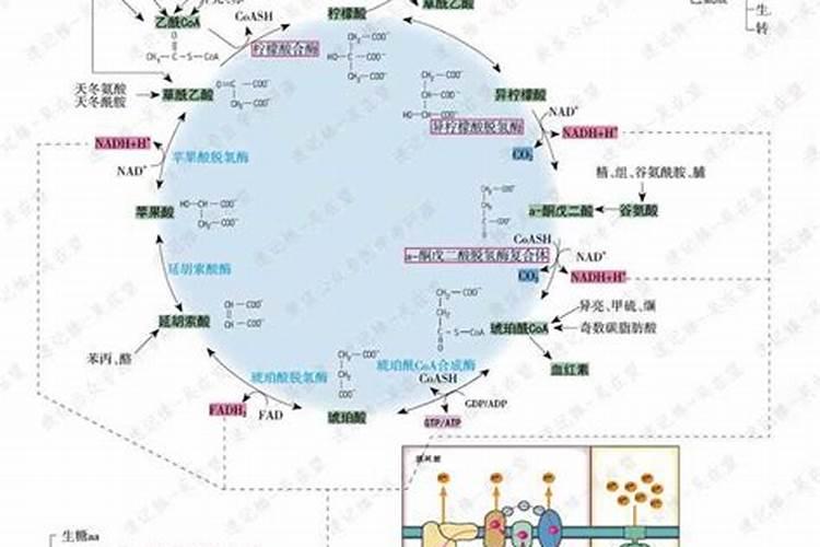 氮肥利用了氮气的什么性质,氮肥是什么肥