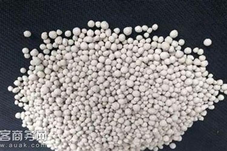 无花果用什么肥料 该如何管理