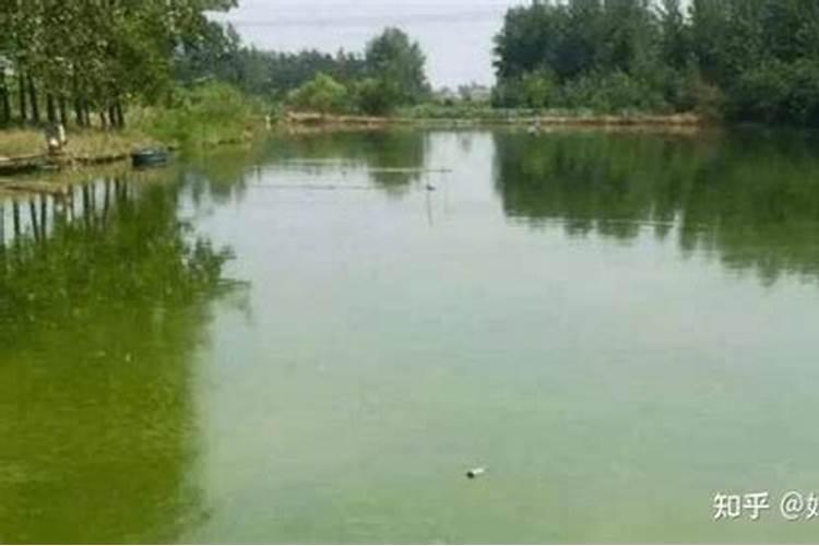 降氨氮最快方法
