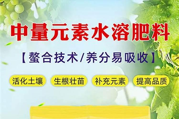 急性铅中毒治疗方案