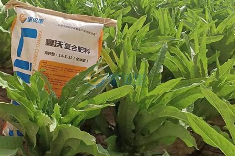 种蔬菜用什么肥料？
